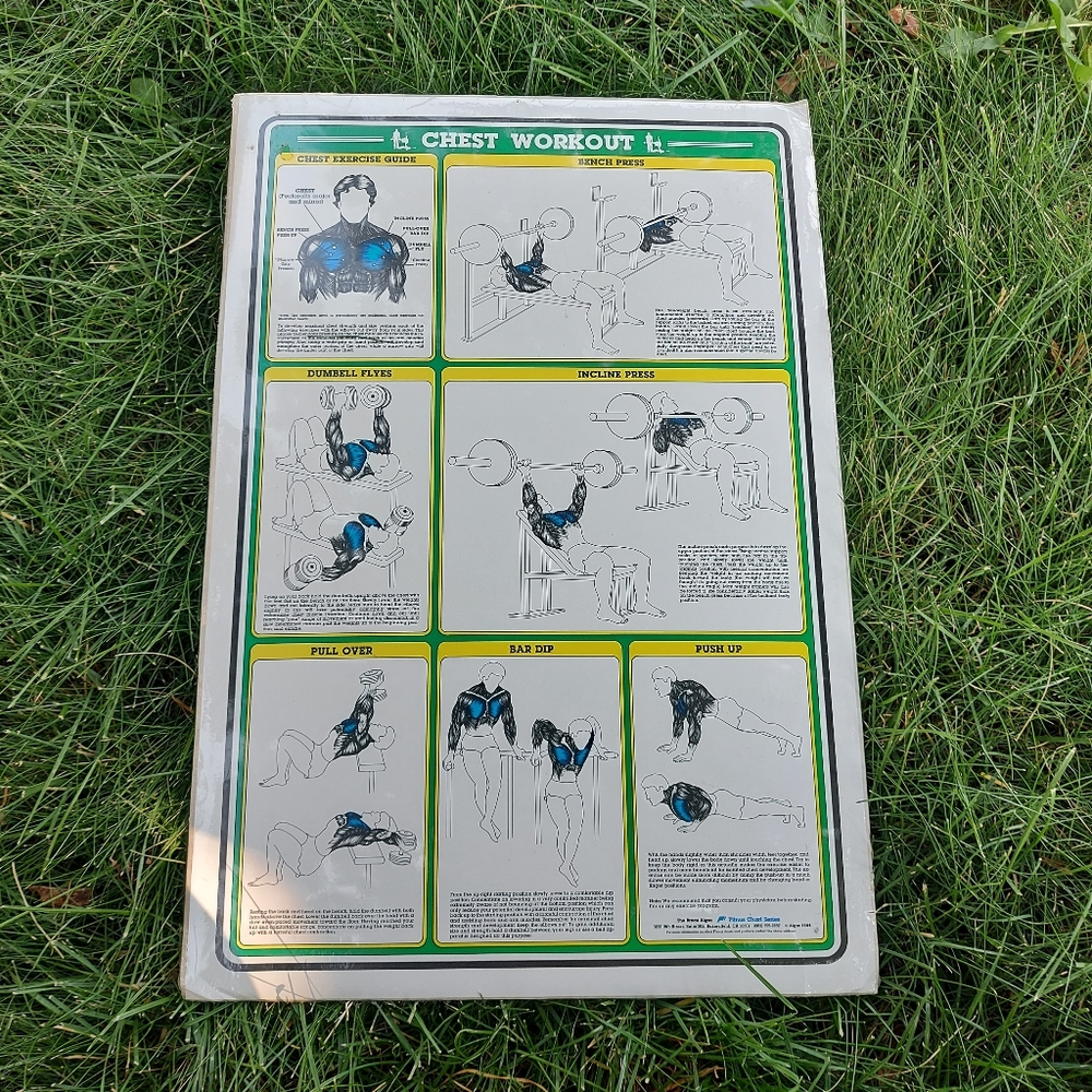 1984 Vintage Bruce Algra Chest Workout Fitness Chart Series  16" × 11"